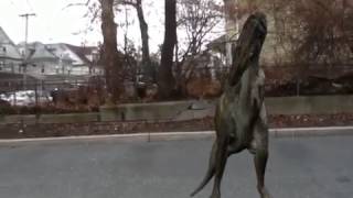 Albertosaurus in New York