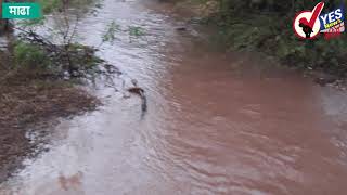 माढा पंचक्रोशीत पावसाची दमदार बॅटींग