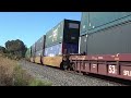 up 8263 with the ioanp 12oct23