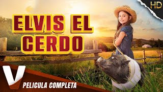 ELVIS EL CERDO | HD | PELICULA FAMILIA EN ESPANOL LATINO