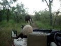MOV02877.MPG
