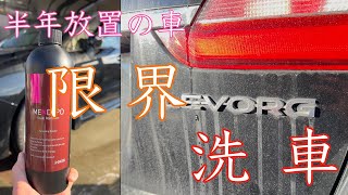 【レヴォーグ】半年間洗車してないスケールまみれの車を洗車で改善してみた