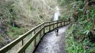 Cranny Falls, Carnlough.