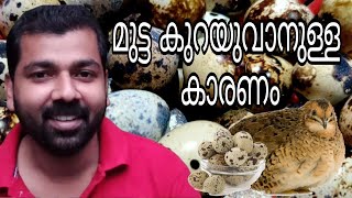 കാട കൃഷി / Quail farming malayalam