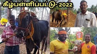 கீழ்பள்ளிப்பட்டு  எருதுவிடும் திருவிழா_ 2022 |ks venkat vlogs