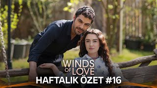 Winds of Love Weekly Summary #16 | Rüzgarlı Tepe Haftalık Kolaj #16