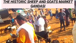 gandasi  sheep and goats market every Thursday @AGRIANIMALS