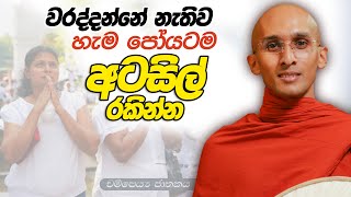 280. වරද්දන්නේ නැතිව හැම පෝයටම අටසිල් රකින්න | චම්පෙය්ය ජාතකය | 2024-03-05