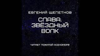 Евгений Щепетнов – Слава. Звёздный Волк. [Аудиокнига]