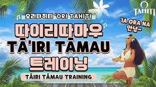 [오 타히티]‘Ori Tahiti TAIRI TAMAU TRAINING ! How to TAIRI TAMAU, 오리타히티의 따이리 따마우! 타히션댄스 따이리 따마우 하는 법