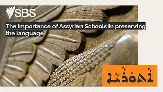 The importance of Assyrian Schools in preserving the language | SBS Assyrian