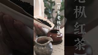 入秋了，一起泡一壶百年老枞红茶吧 Let's make a pot of century-old fir black tea together#茶文化 #chinesetea #红茶