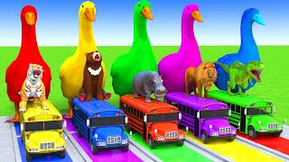 5 Giant Duck Cartoon,Cow,Elephant,Tiger,Lion,Dinosaur,Paint Wild Animals Crossing Fountain Animation