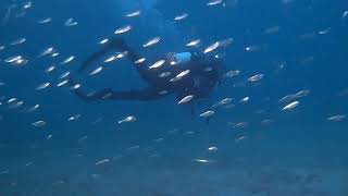 BHB Night Dive 7 13 22 FM HD 1080p HD 1080p
