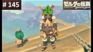 「コログのお面」でコログを探してみた　攻略 ゼルダの伝説 ブレスオブザワイルド #145　\