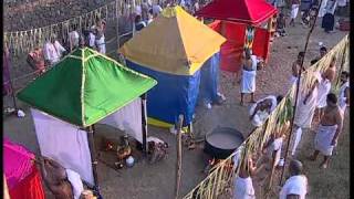 Arattu ceremony for Arattupuzha Pooram