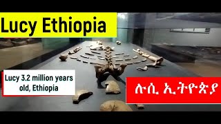 Lucy Ethiopia /ድንቅነሽ የምትባለዉ የዘመናችን የአርክዎሎጂ ግኝት ኢትዮጵያ አለች የለችም?/ Lucy human heritage by Unesco