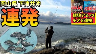 初めての磯で良型チヌ連発！こっそり公開します。in 岡山県下津井沖