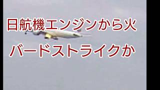 日航機 緊急着陸 バードストライクか？