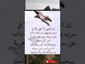 حكمة رائعة كلام_من_ذهب