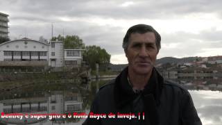 || ZéZé de Mirandela ||