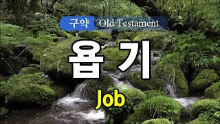 18 [성경] [구약] 욥기 전체 낭독 / 전문 성우가 읽어주는 오디오 성경