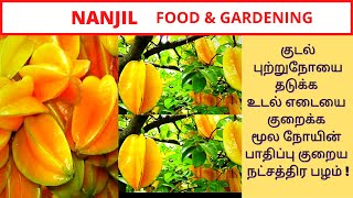 Health benefits of star fruit in tamil | Star fruit growing tips in tamil | Star fruit explained |