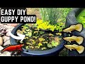 HOW TO BUILD AN EASY DIY GUPPY POND! (STEP BY STEP TUTORIAL)