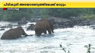 മസ്തകത്തിൽ മുറിവേറ്റ ആനയെ പിടികൂടി ചികിത്സിക്കുന്നതിനുള്ള ദൗത്യം ഉടൻ ആരംഭിക്കും