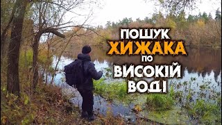 РИБАЛКА з БЕРЕГА на СПІНІНГ в ЛИСТОПАДІ. ПОШУК ХИЖАКА по ВИСОКІЙ ВОДІ