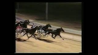1993 South Australian Pacing Cup - Franco Tiger