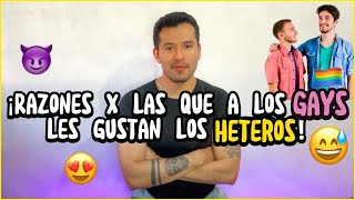 5 Razones por las que a los Gays les gustan los Heteros!