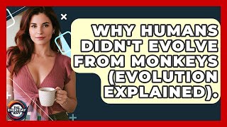 Why Humans Didn't Evolve From Monkeys (evolution Explained). - The Everyday Why