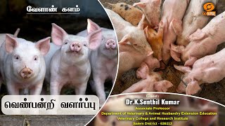 🔴Live | வெண்பன்றி வளர்ப்பு | Velan Kalam | 23.08.2024