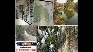 Raiganj Kulik Wildlife Sanctuary রায়গঞ্জ কুলিক পক্ষী নিবাস