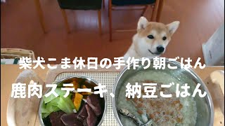 柴犬こま休日の手作り朝ごはん‐鹿肉ステーキ、納豆ごはん【柴犬こま】Shiba Inu holiday breakfast