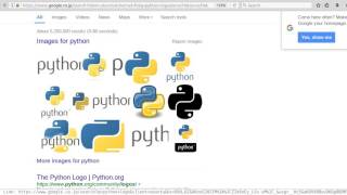 programming - python very basic and simple - start the interpreter