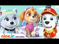 Paw Patrol, Patrulla de cachorros | ¡Salvando a Skye de la tormenta de nieve! | Nick Jr. en Español