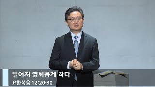 [LIVE] 떨어져 영화롭게 하다 (요한복음 12:20-30)_주일 1부 예배_베이직교회_안신기 목사_20221030