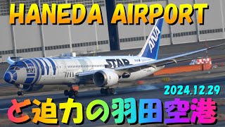 4K✈️＃師走のど迫力の羽田空港2️⃣🎍＃HanedaAirport＃迫力の12機離発着シーン＃正月休み2日目＃2024年12月29日