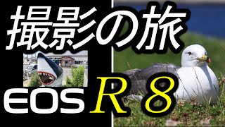 撮影の旅、青森県八戸市 蕪島