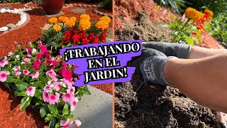 TRABAJANDO en el JARDIN | PLANTANDO plantas para el SOL DIRECTO