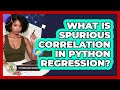 What Is Spurious Correlation In Python Regression? - Python Code School
