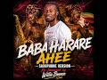 Baba Harare - Ahee( Saxophone Instrumental Re-Imagined)@babaharare6683