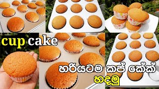 vanila cup cake/how to make cup cake/හරියට කප් කේක් හදමු සොෆ්ට් එකට/cup cake recipe by sapumal