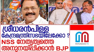 ശ്രീധരന്‍പിള്ളക്ക് മന്ത്രിസ്ഥാനം ലഭിക്കുമെന്ന് റിപ്പോര്‍ട് l PS Sreedharan Pilla