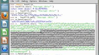 Python [hashlib] 04 SHA1 Hashing