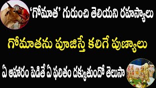 Unknown facts of go puja | గోవు పూజ రహస్యం | Importance of go puja | Cow puja Telugu | PSLV TV