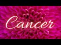 Cancer🌺This is AMAZING Cancer!🤍Getting What You Deserve-An Apology/Financial Rewards🌺Energy Check-In