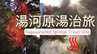 【冬の湯河原♨湯治旅】朝のお散歩🌞万葉公園の紅葉🍁Colored leaves at Yugawara Hot Springs, Kanagawa, Japan